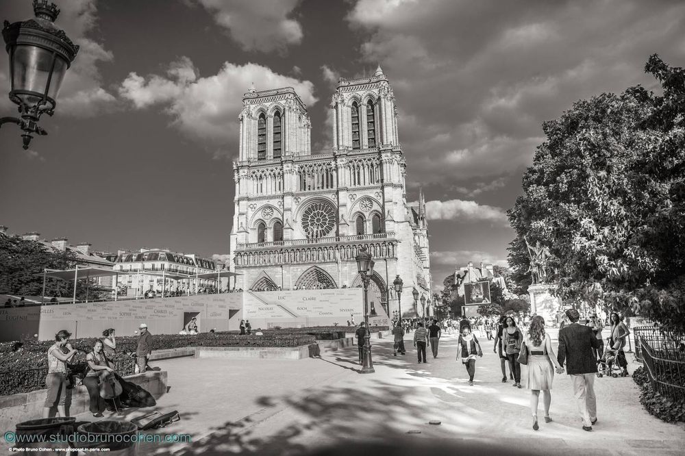 proposal in paris notre dame cathedral black and white summer 