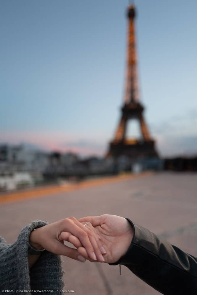 Paris marriage proposal
