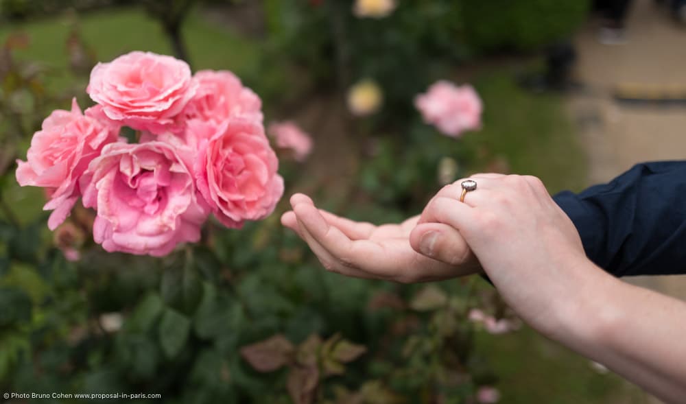 Paris marriage proposal