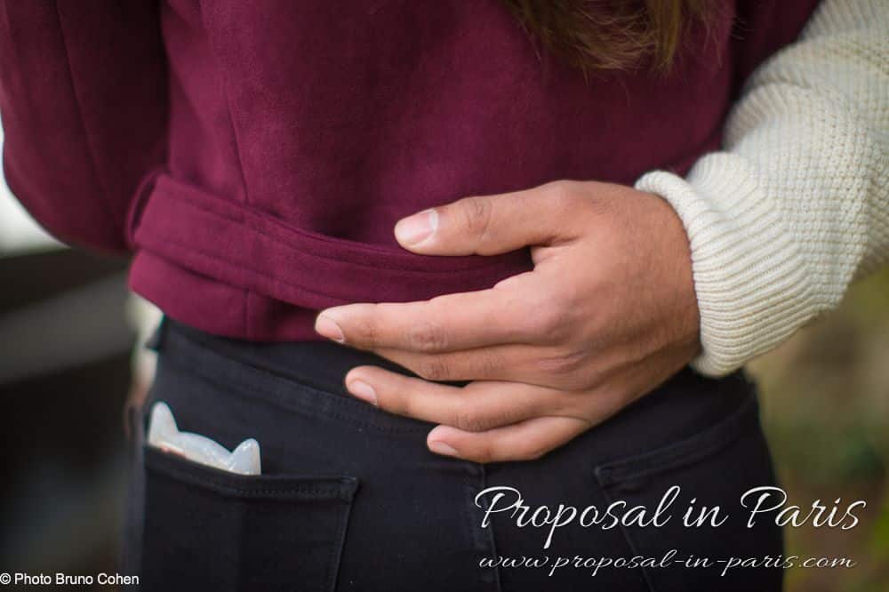 Paris marriage proposal