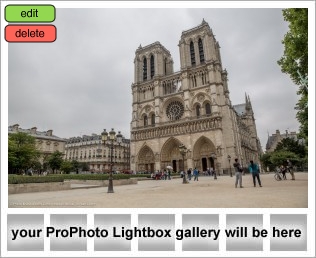 proposal in paris notre dame cathedral at summer 