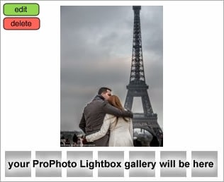 proposal in paris portrait hugging couple front of Eiffel Tower at sunset