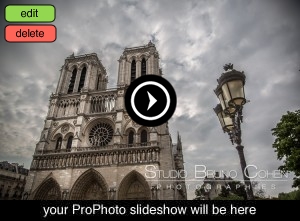 proposal in paris notre dame cathedral love couple engagement photographer